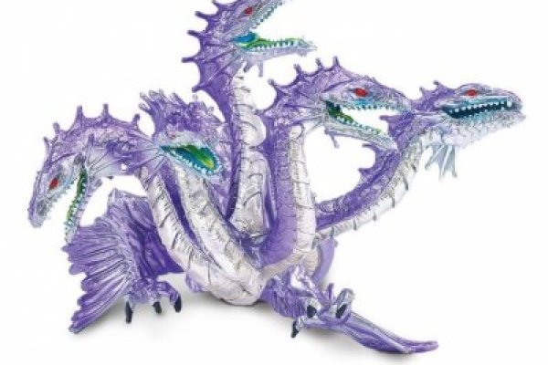 Kraken19 at
