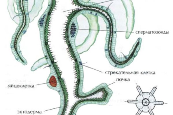Кракен наркоман