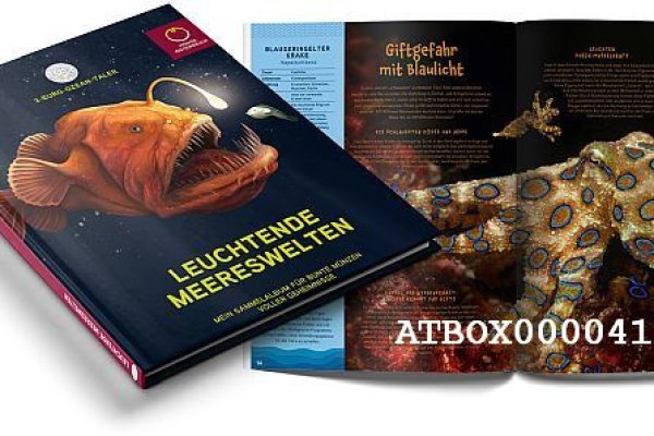 Рабочая ссылка кракен в тор