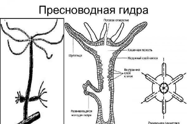 Вместо гидры