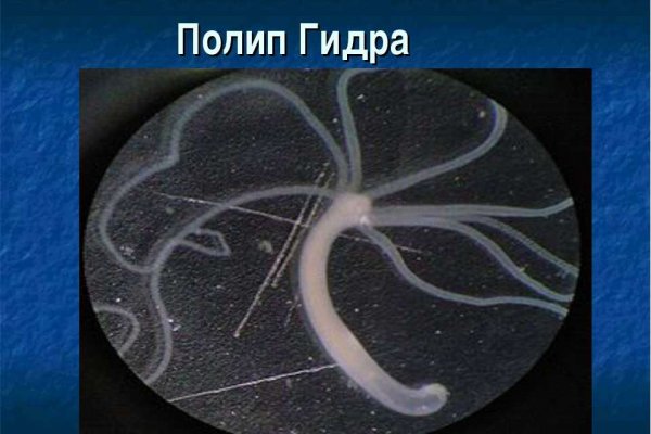 Кракен омг мега