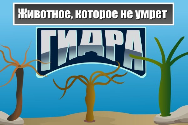 Кракен стор